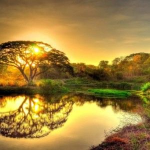 Meet your Posher, Dedra faye